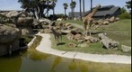 San Francisco Zoo