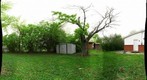 Backyard Ohio - Spring