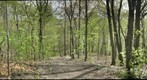 Frick Park