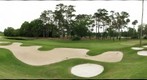 TPC Sawgrass 5th Hole