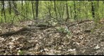 Frick Park 360