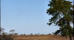 Nantucket Plains