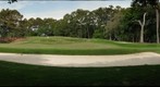 TPC Sawgrass 14th Hole
