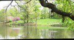 whereRU: Douglass Pond 2