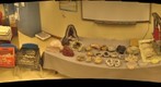 Geode presentation at Propel Schools
