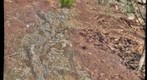 Acraman Ejecta