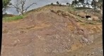 Ediacara Golden Spike