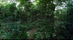 Lamanai Belize - 100416