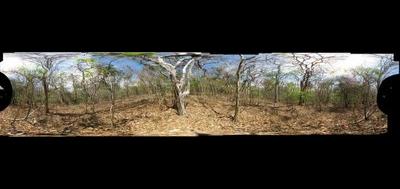 4787-400x189