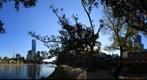 Melbourne Skyline and Yarra River from North Channel (Full Size), Apr 16, 2010 at 4:28pm