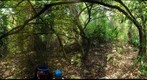 Lamanai Belize -River Bank sampling - 100414