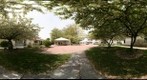 whereRU: Cook Campus Blooms