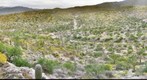 Saguaro National Park - East