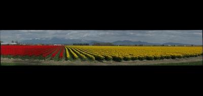 4808-400x189