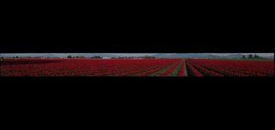 4813-400x189
