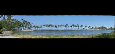 48173-400x189
