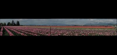 4818-400x189