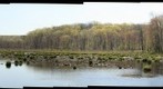 Cherry Ridge Trail Wetland