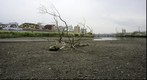 RiverBed 20100427 - 03