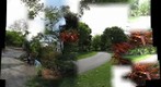 Fairchild Tropical Mix 1