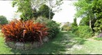 Butterfly Garden