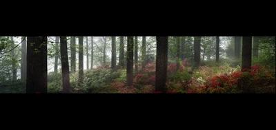 48489-400x189