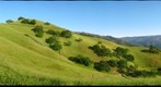 Del Valle Right