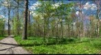 Bishop Woods - Miami University (Oxford, Ohio)