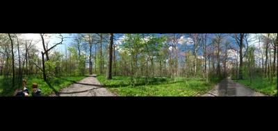 48537-400x189