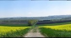 Plaine de l'Orbe