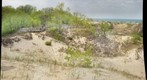 Bioblitz Gigapan