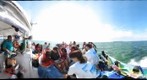 BioBlitz - setting out to sea