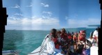 BioBlitz - at sea