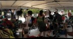 BioBlitz - back to shore