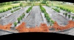 Fertilizer and vegetables