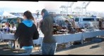 Alameda Antique Show &amp; Swap 