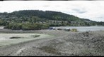 Shack Island