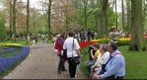 Keukenhof Garden