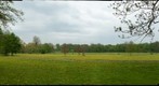 Englischer Garten