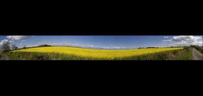 48812-400x189