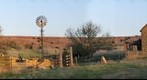 Old Kansas Farm
