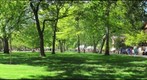 whereRU: Rutgers Day from Hamilton Street