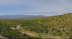 Saguaro National Park East