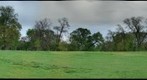 Washington Park Panorana 1: 5-1-10