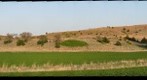 Pastoral Scene, near Lake Wilson, Kansas
