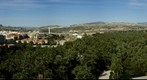 El Palmeral de Elche