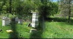 Making Splits in Spring