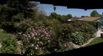 100506 Goleta, California backyard rose circle plus east boxes