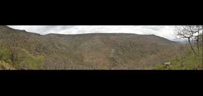 49287-400x189