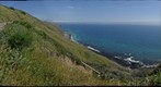 Sonoma Coastline